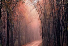 2024成都车展——腾势Z9GT实拍解析